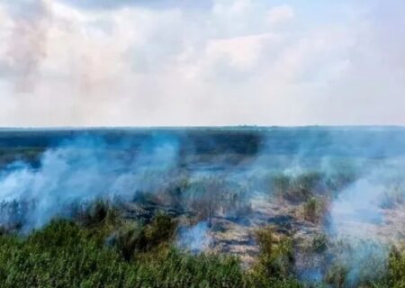 میکرو تالاب الهایی در معرض نابودی است