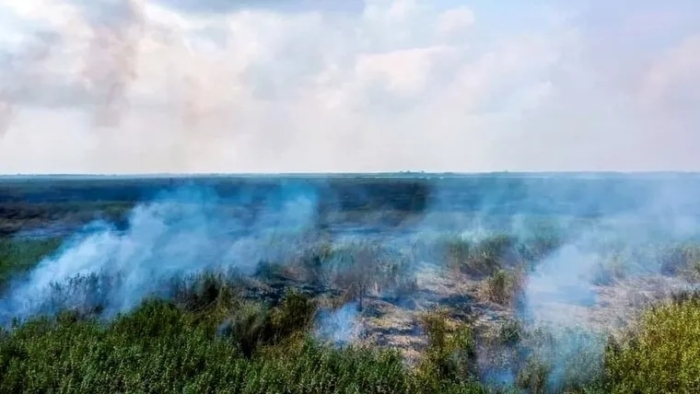 میکرو تالاب الهایی در معرض نابودی است
