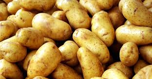 ممنوعیت صادرات سیب زمینی به مدت ۲ ماه