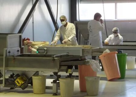 موافقت اولیه برای احداث شهرک صنعتی گیاهان دارویی شوش اخذ شد