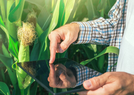 انتقال دانش به عرصه دلیل افزایش ۷۵ درصدی تولیدات کشاورزی خوزستان است