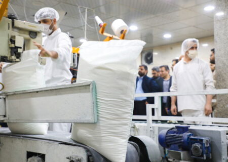 تولید شکر از مرز نیم‌ میلیون تُن عبور کرد