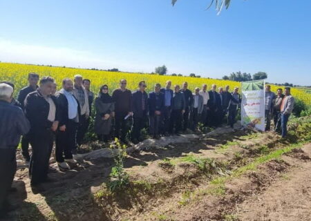 تور ترویجی محقق مروجان ارشد کشاورزی کشور در دزفول برگزار شد