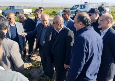 جهت بررسی میزان خسارت سرمازدگی به مزارع خوزستان؛