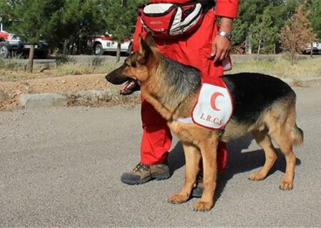 خوزستان میزبان منطقه ای دوره تخصصی آموزش و نگهداری سگ‌های تجسس