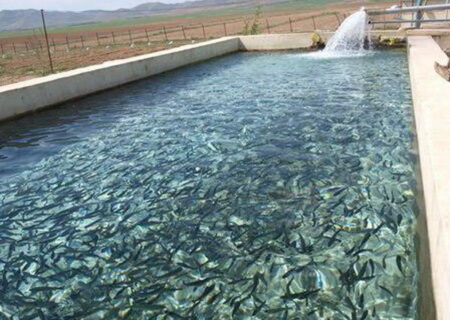 افتتاح کارخانه خوراک آبزیان با ظرفیت ۵ هزار تن در شوشتر