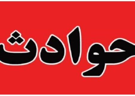 وزارت علوم اطلاعیه داد/ قتل دانشجوی دانشگاه تهران