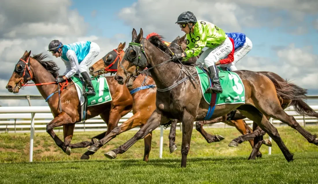 ابراز رضایت رییس هیات سوارکاری خوزستان از سطح مسابقات کورس زمستانه کشور