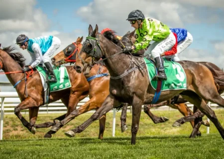 ابراز رضایت رییس هیات سوارکاری خوزستان از سطح مسابقات کورس زمستانه کشور