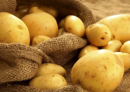 قیمت جدید سیب‌زمینی وارداتی اعلام شد