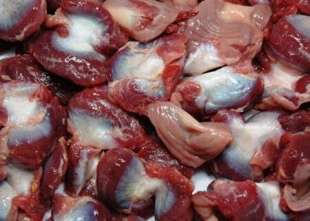 کشف محل تولید غیرمجاز گوشت چرخ کرده از سنگدان مرغ در دزفول