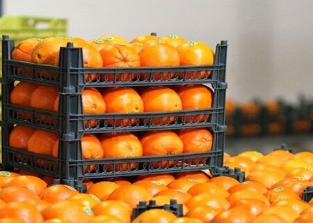 آغاز توزیع ۳۴۲ تُن میوه شب عید در خوزستان از فردا