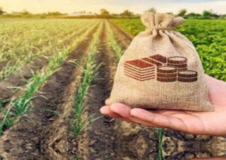 خسارت گسترده خشکسالی و سرمازدگی به مزارع خوزستان