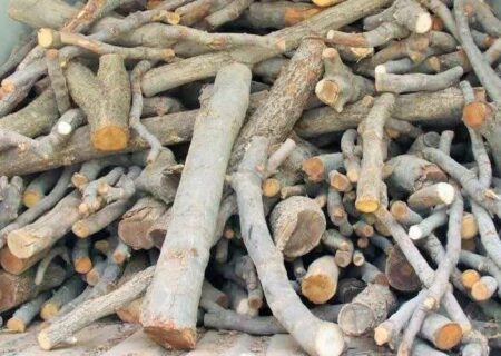 اشد مجازات برای جاعل مجوز منابع طبیعی در دزفول