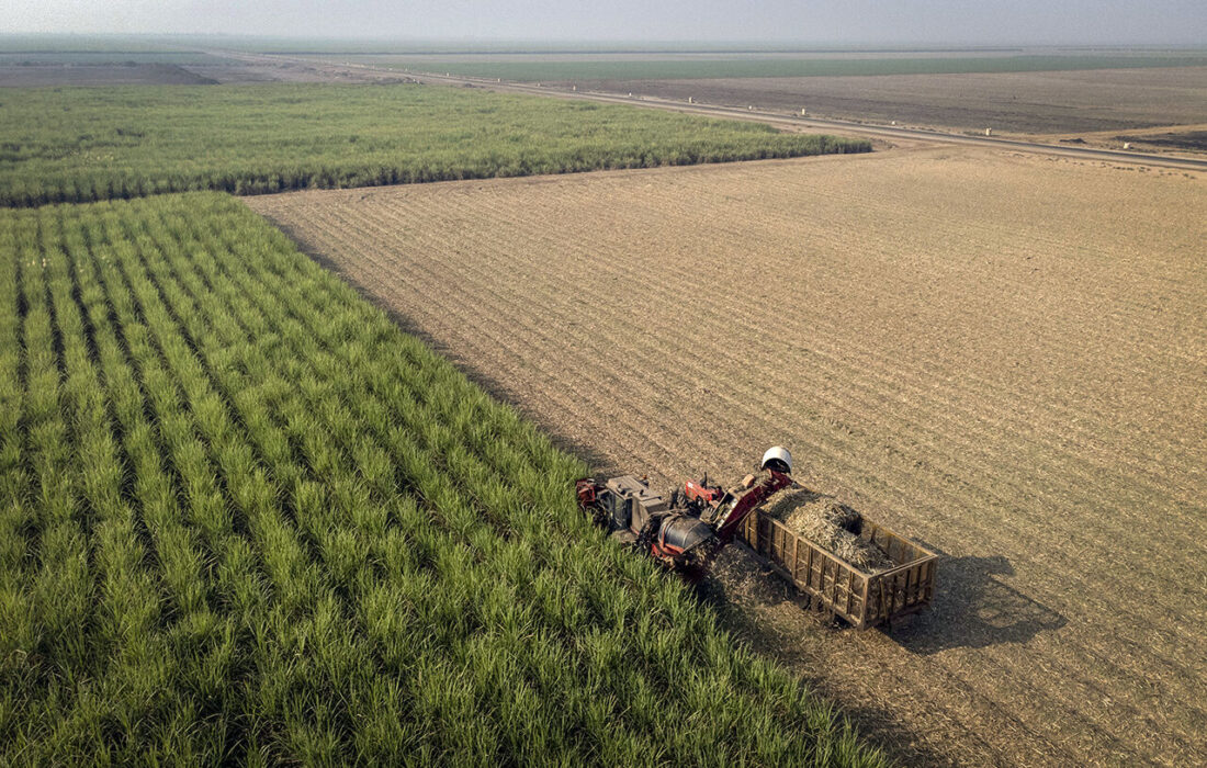 مدیر جهاد کشا ۵۵ میلیارد ریال جریمه و سود تسهیلات بانکی کشاورزان اندیمشک توسط دولت پرداخت شد