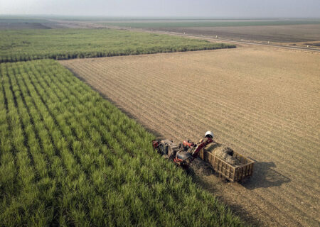 مدیر جهاد کشا ۵۵ میلیارد ریال جریمه و سود تسهیلات بانکی کشاورزان اندیمشک توسط دولت پرداخت شد