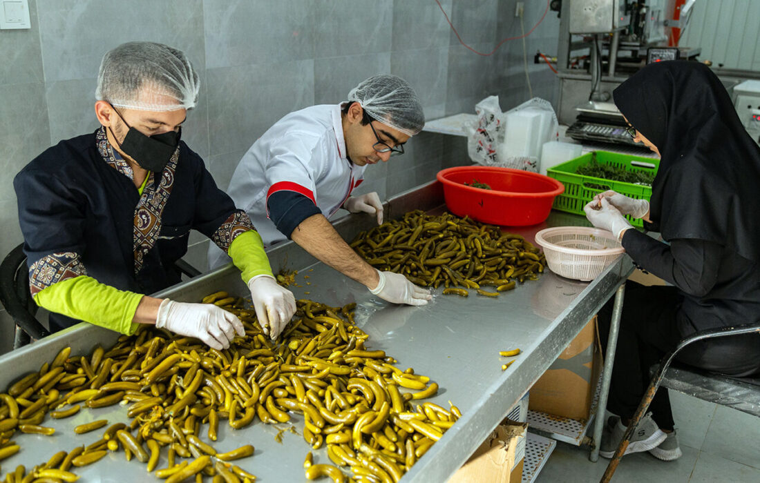 تخصیص ۳۶۰ میلیارد ریال تسهیلات به واحدهای تولیدی خانگی کشاورزی خوزستان