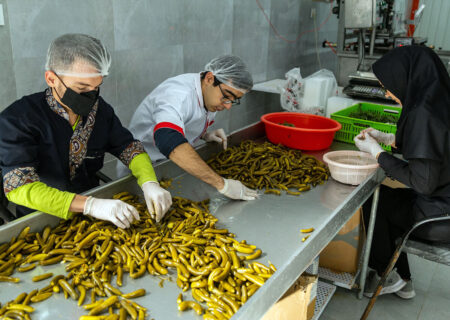 تخصیص ۳۶۰ میلیارد ریال تسهیلات به واحدهای تولیدی خانگی کشاورزی خوزستان