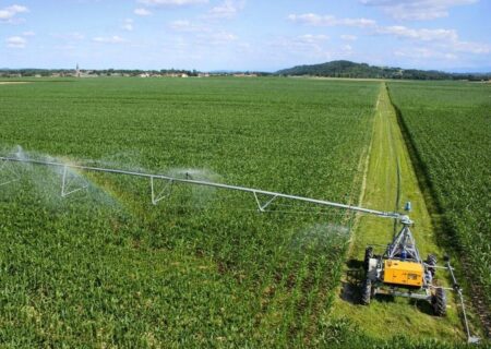 از صندوق‌های سرمایه‌گذاری کشاورزی، راهگشای توسعه کشاورزی خوزستان