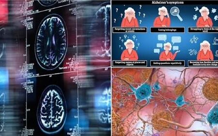 بالاخره معلوم شد چرا زنان بیشتر از مردان آلزایمر می‌گیرند!