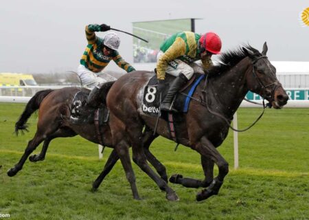 هیات سوارکاری خوزستان به عنوان فعال‌ترین هیات استان شناخته شد