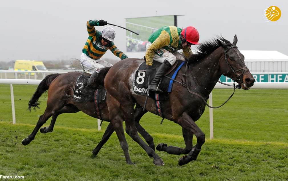 هیات سوارکاری خوزستان به عنوان فعالترین هیات استان شناخته شد