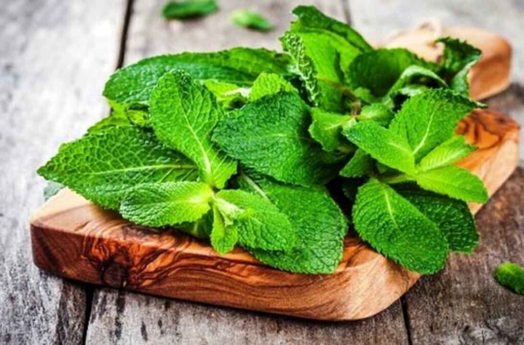 خوراکی‌های طبیعی که حالت تهوع را از بین می‌برند