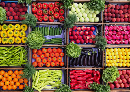 صادرات ۲۷۰ هزار تن محصولات کشاورزی از خرمشهر