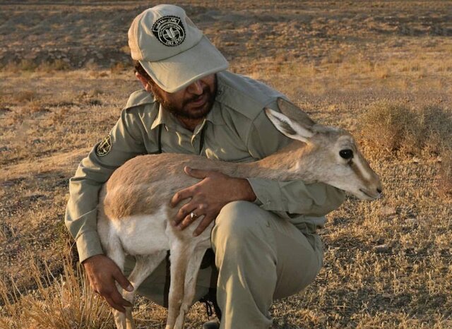 پیگیری درج رشته محیطبانی در دفترچه کنکور/ برگزاری دوره تربیت محیطبان با همکاری یونسکو