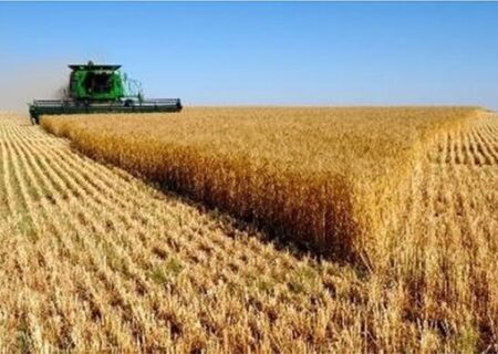 آماده‌سازی ۱۰۵ مرکز خرید گندم در خوزستان/۲۵۰۰ کمباین مهاجر وارد استان می‌شود