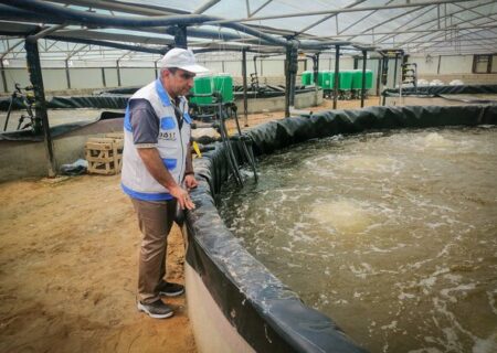 آغاز پایش بیماری‌های ویروسی ماهیان گرم‌آبی در خوزستان