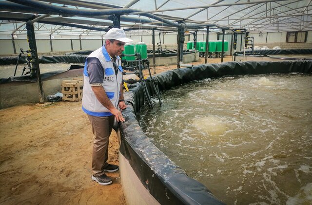 آغاز پایش بیماریهای ویروسی ماهیان گرمآبی در خوزستان