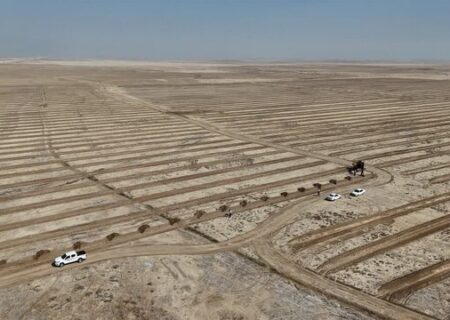 ۳۵۰ هزار هکتار از اراضی بیابانی خوزستان، کانون بحرانی ریزگرد هستند