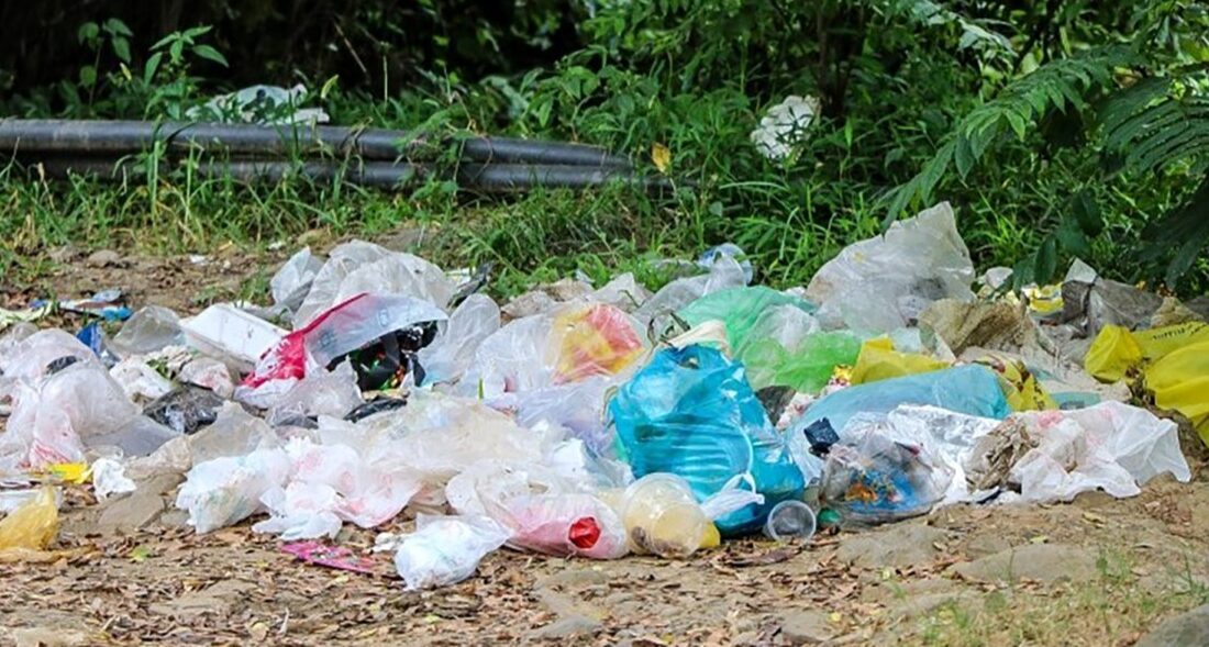 یک بطری آب به قیمت جان حیوانات / 4000 سال طول می کشد تا یک بطری پلاستیکی تجزیه شود !