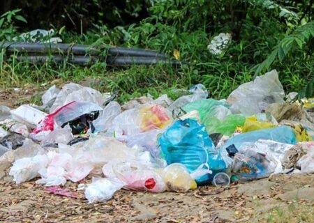 یک بطری آب به قیمت جان حیوانات / 4000 سال طول می کشد تا یک بطری پلاستیکی تجزیه شود !