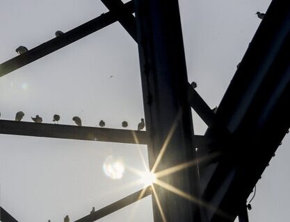 پیش‌بینی بهار گرم برای خوزستان/ رسیدن دما به ۴۰ درجه در فروردین