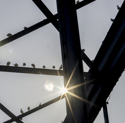 پیش‌بینی بهار گرم برای خوزستان/ رسیدن دما به ۴۰ درجه در فروردین