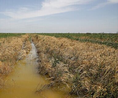 استمهال تسهیلات بهره‌برداران خسارت‌دیده از حوادث غیرمترقبه تا پایان فروردین