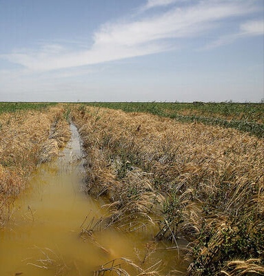 استمهال تسهیلات بهرهبرداران خسارتدیده از حوادث غیرمترقبه تا پایان فروردین