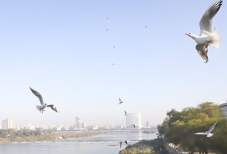 تنفس هوای «پاک» در دو شهر خوزستان/ هوای اهواز «قابل قبول»