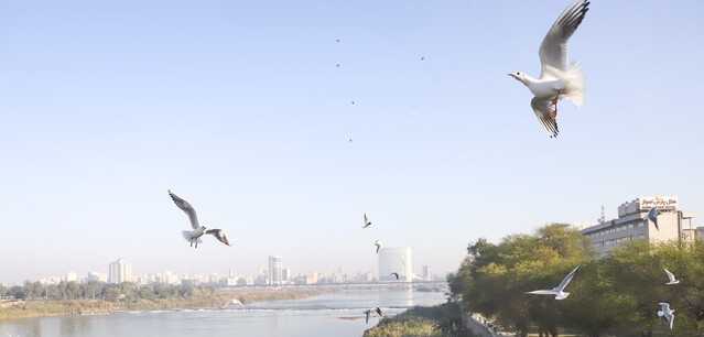 تنفس هوای «پاک» در دو شهر خوزستان/ هوای اهواز «قابل قبول»