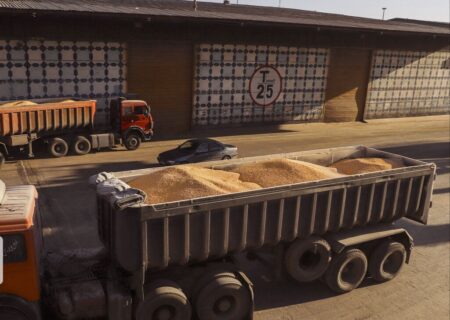 آمادگی ۶ مرکز خرید تضمینی در قطب تولید گندم کشور