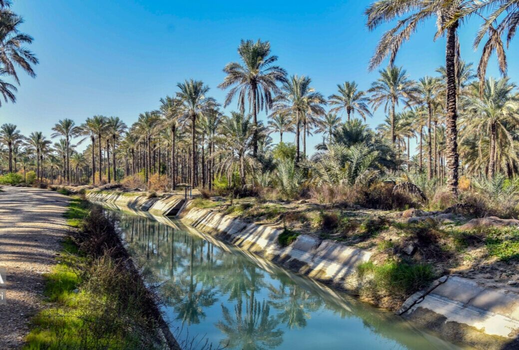 شهروندان شادگان برای آبیاری باغ‌ها، نخلستان‌ها از آب شرب استفاده نکنند