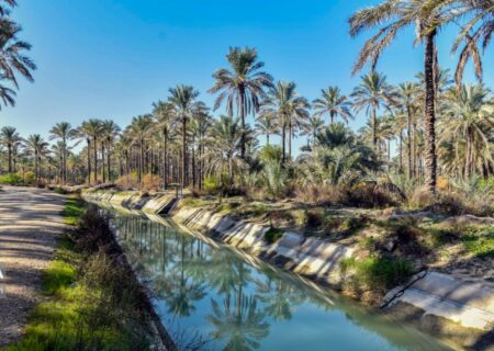 شهروندان شادگان برای آبیاری باغ‌ها، نخلستان‌ها از آب شرب استفاده نکنند