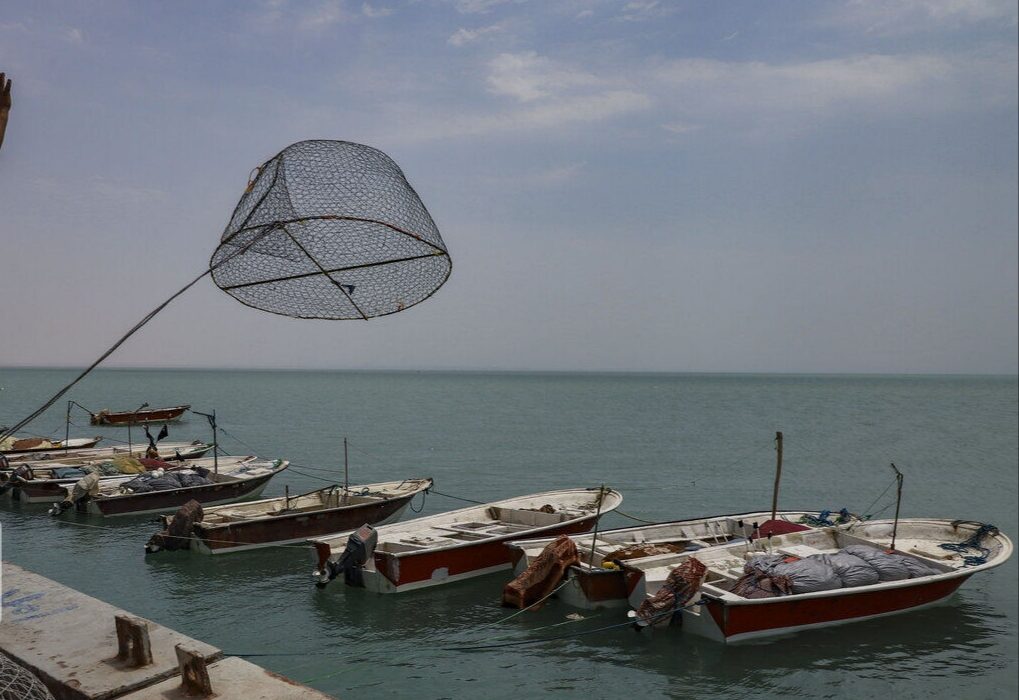 اقدام مشترک استان‌های جنوبی برای حفاظت از ذخایر آبزیان