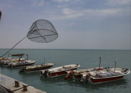 اقدام مشترک استان‌های جنوبی برای حفاظت از ذخایر آبزیان