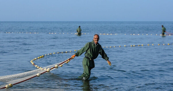 طرح دریابست از ۲۲ اردیبهشت در سواحل خوزستان اجرا میشود