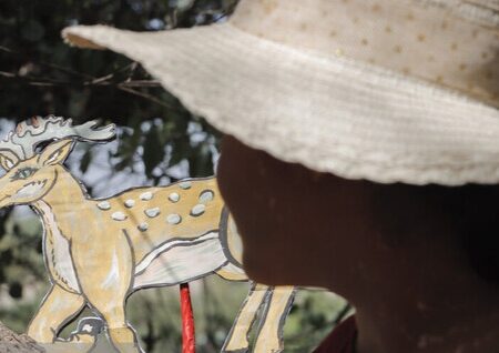 اولین جشنواره ملی قصه‌گویی محیط زیست در اهواز برگزار شد