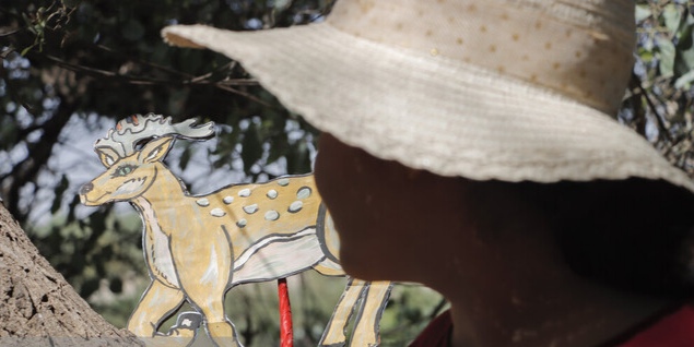 اولین جشنواره ملی قصهگویی محیط زیست در اهواز برگزار شد