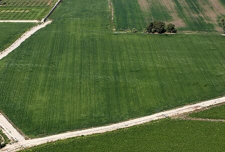 پیگیری نهایی‌ شدن تخصیص ۲۰ درصد سهم نیشکر برای تکمیل طرح ۵۵۰ هزار هکتاری